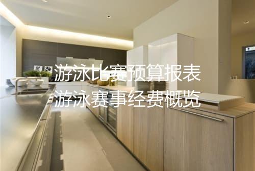 游泳比赛预算报表 游泳赛事经费概览