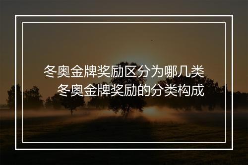 冬奥金牌奖励区分为哪几类 冬奥金牌奖励的分类构成